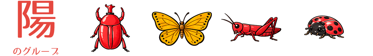 陽のグループ