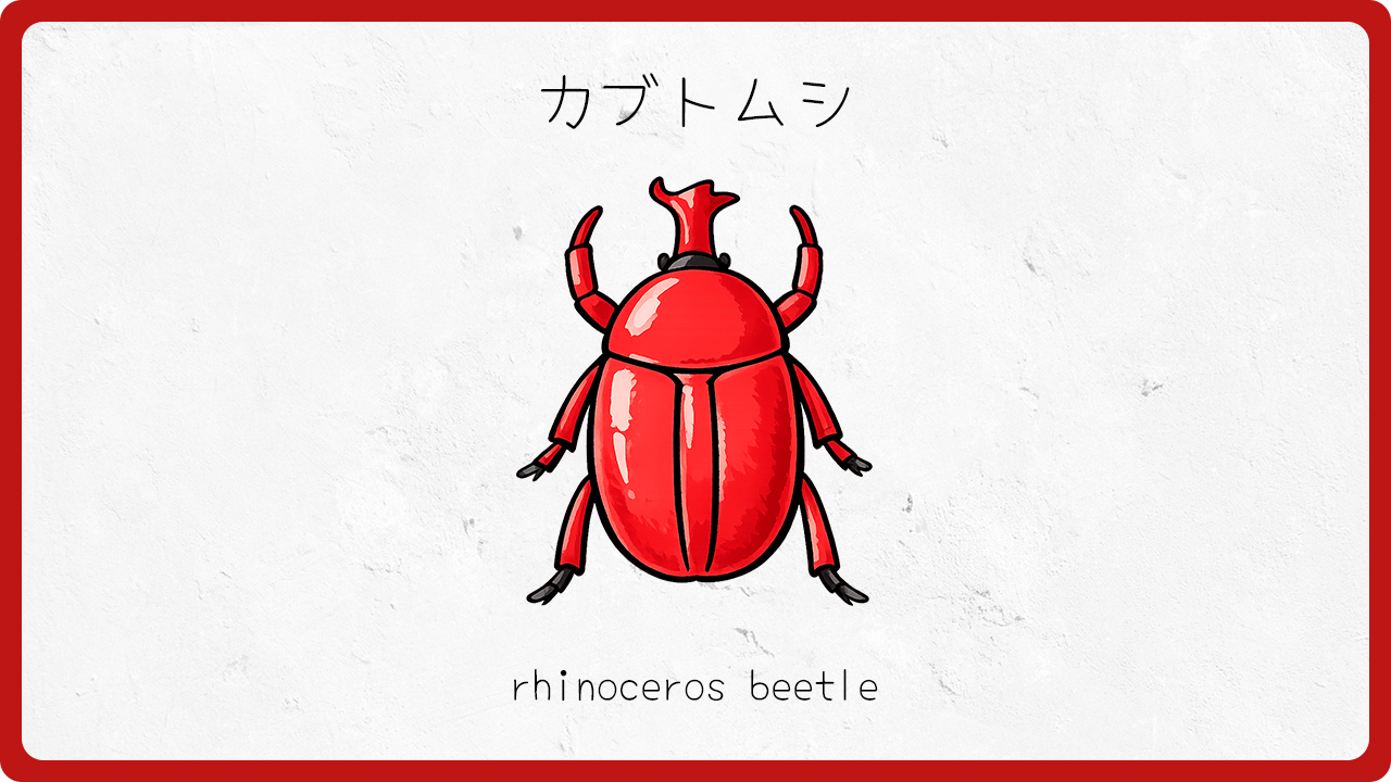 カブトムシ