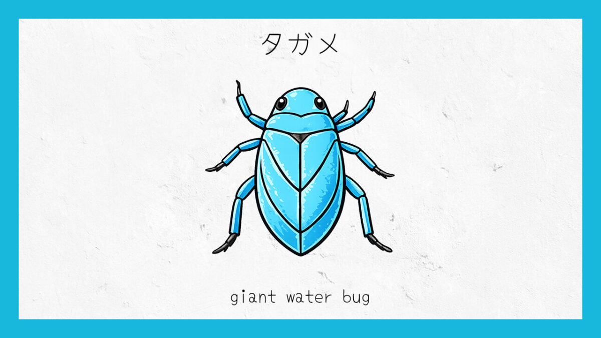 十六環占い:「タガメ」タイプの基本的な性格