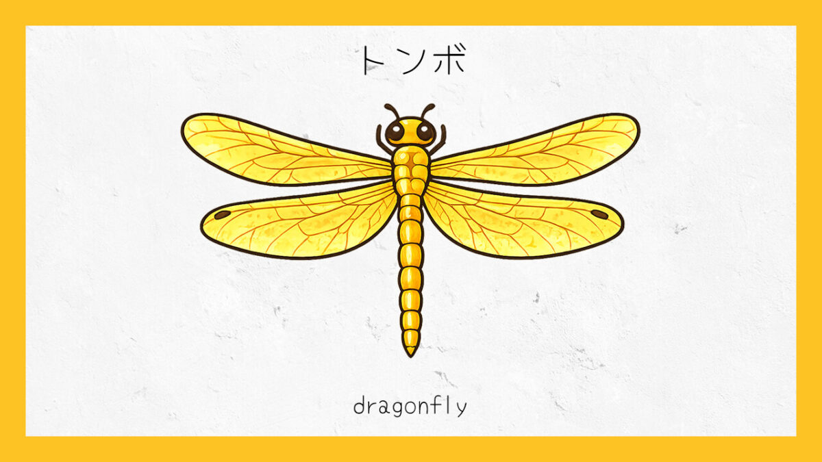 十六環占い:「トンボ」タイプの基本的な性格