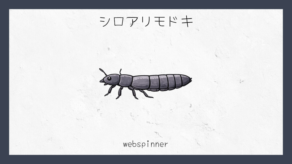 十六環占い：｢シロアリモドキ｣タイプの基本的な性格