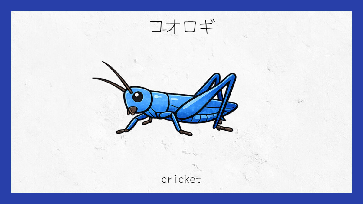 十六環占い：｢コオロギ｣タイプの基本的な性格