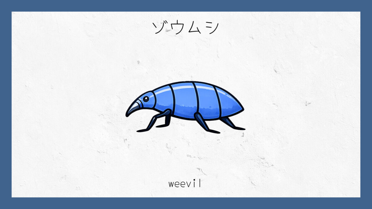 十六環占い:「ゾウムシ」タイプの基本的な性格