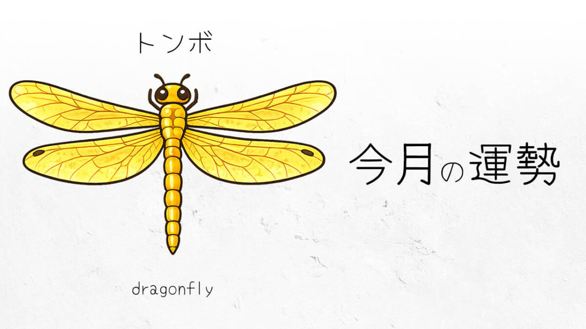 トンボ:2026年2月の運勢レポート