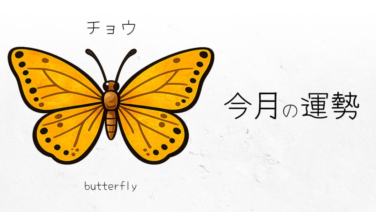 チョウ:2026年3月の運勢レポート