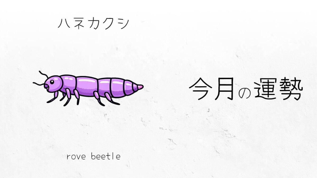 ハネカクシ：2026年3月の運勢レポート