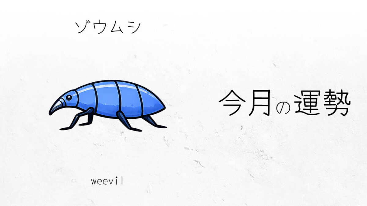 ゾウムシ:2026年3月の運勢レポート