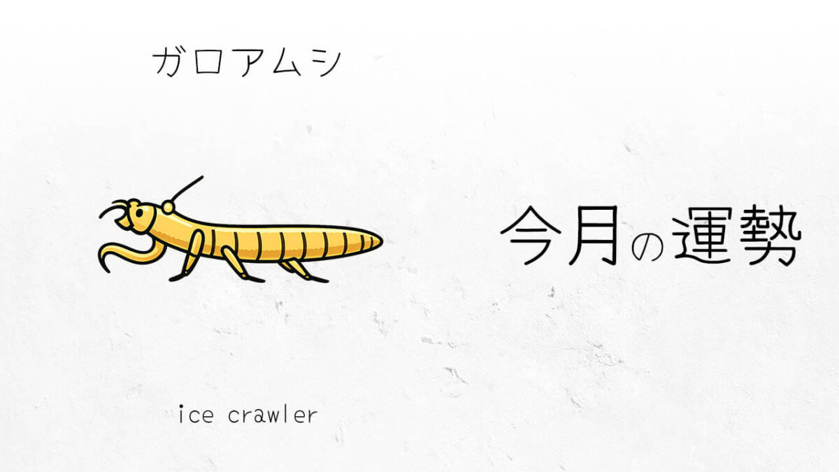 ガロアムシ：2026年3月の運勢レポート