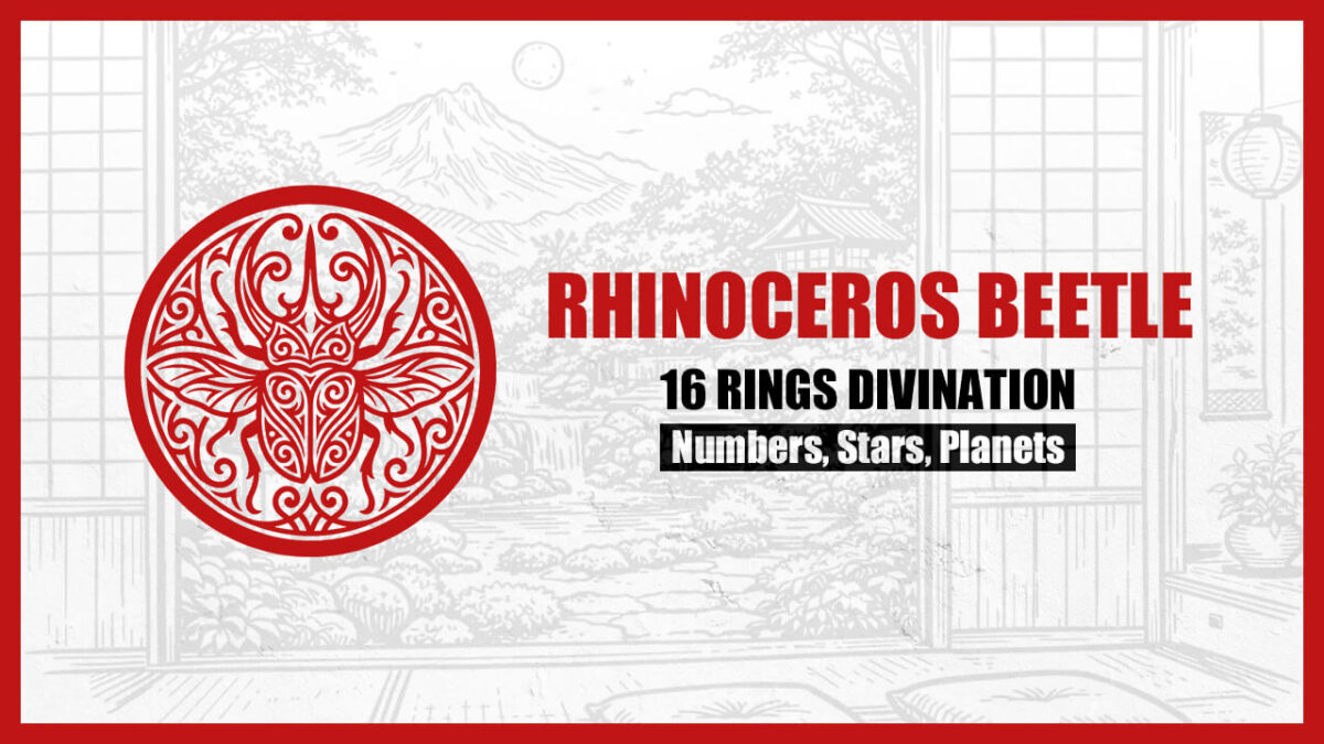 16 Rings Divination: The Basic Personality of the “RHINOCEROS BEETLE” Type