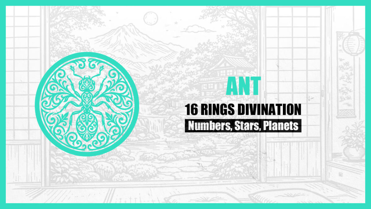 16 Rings Divination: The Basic Personality of the “ANT” Type