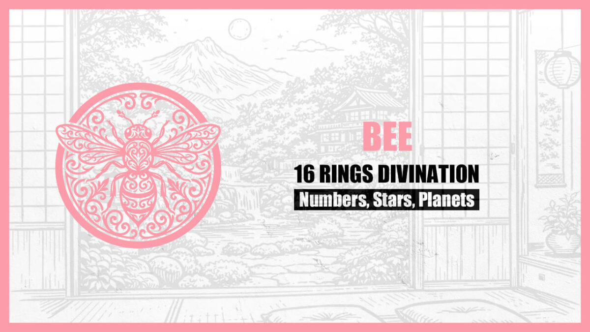 16 Rings Divination: The Basic Personality of the “BEE” Type