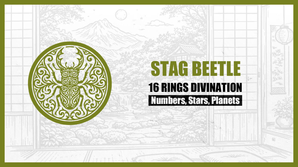 16 Rings Divination: The Basic Personality of the “STAG BEETLE” Type