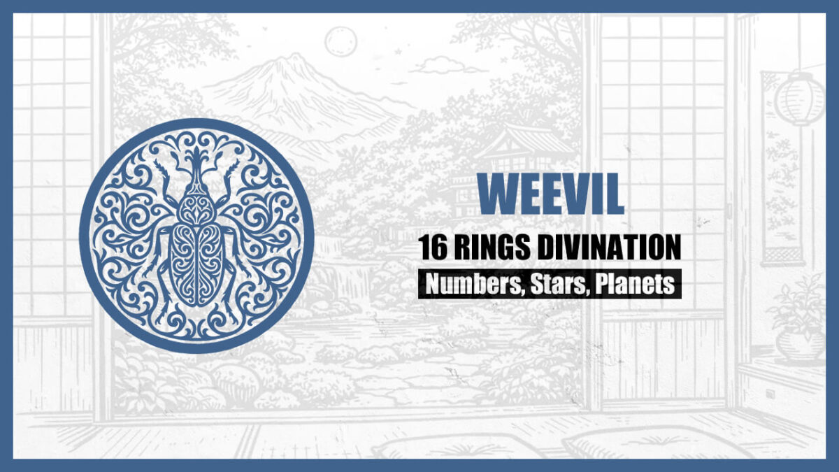 16 Rings Divination: The Basic Personality of the “WEEVIL” Type