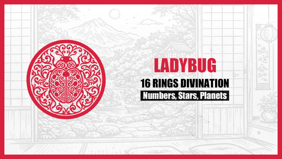 16 Rings Divination: The Basic Personality of the “LADYBUG” Type