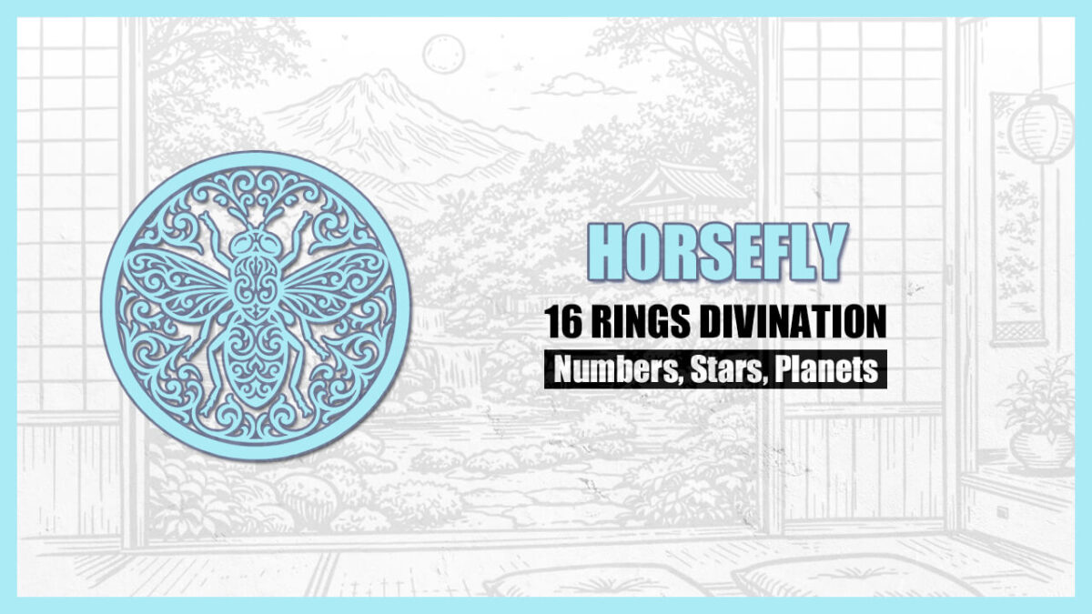 16 Rings Divination: The Basic Personality of the “HORSEFLY” Type