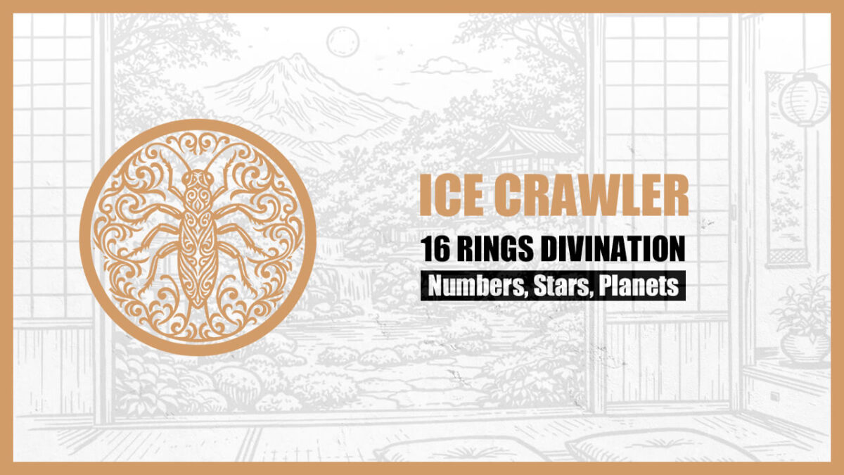 16 Rings Divination: The Basic Personality of the “ICE CRAWLER” Type