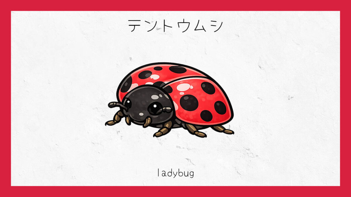 十六環占い:「テントウムシ」タイプの基本的な性格