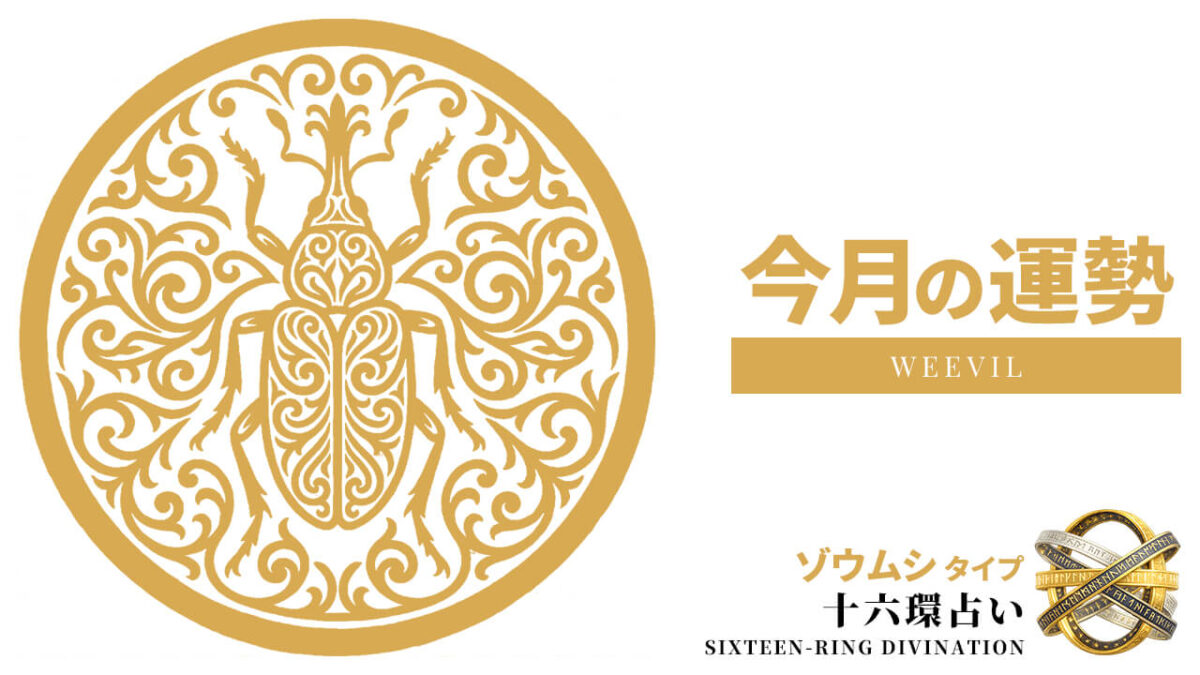 ゾウムシ：2026年8月の運勢レポート