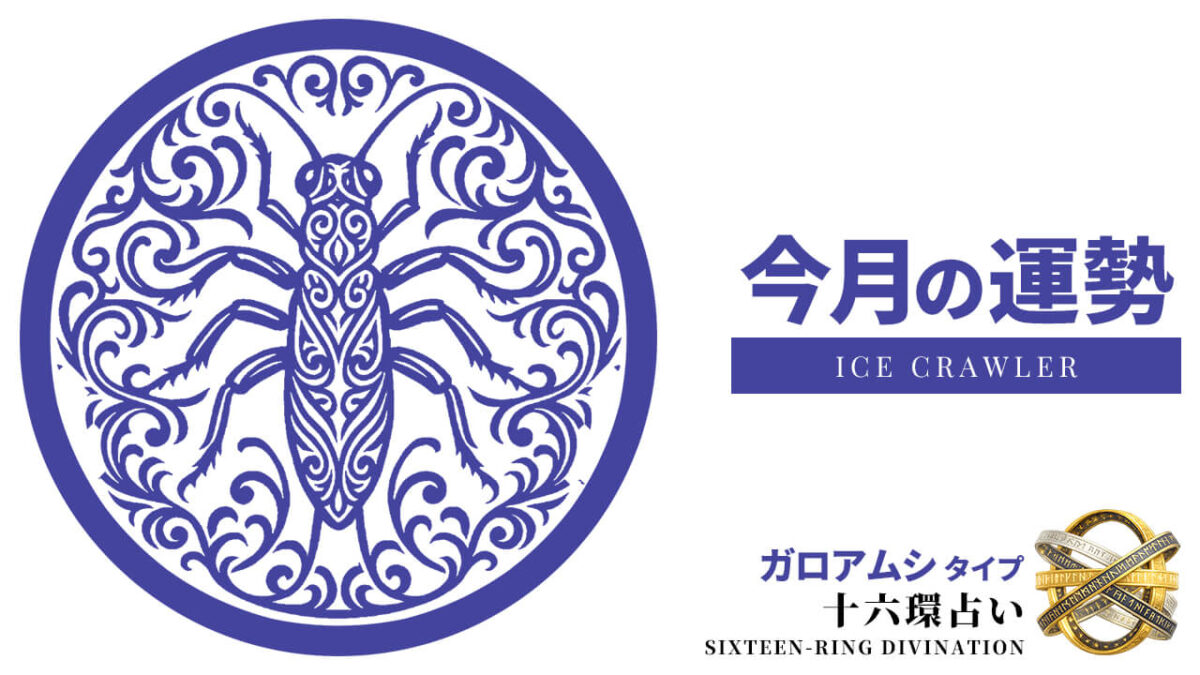 ガロアムシ：2026年8月の運勢レポート