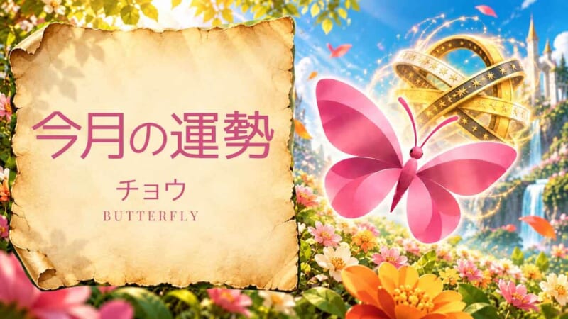 チョウ：2026年11月の運勢レポート