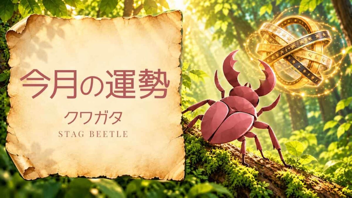 クワガタ：2026年11月の運勢レポート