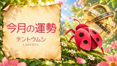 テントウムシ：2026年11月の運勢レポート