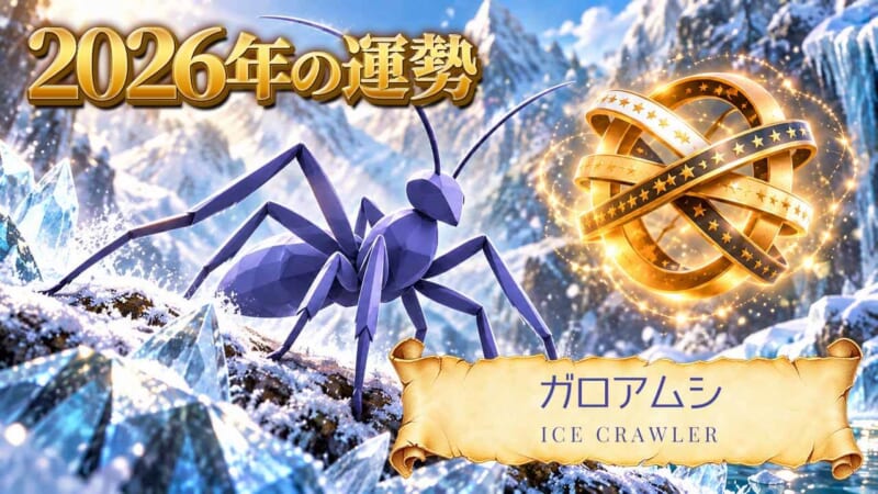 ガロアムシ：2026年運勢レポート